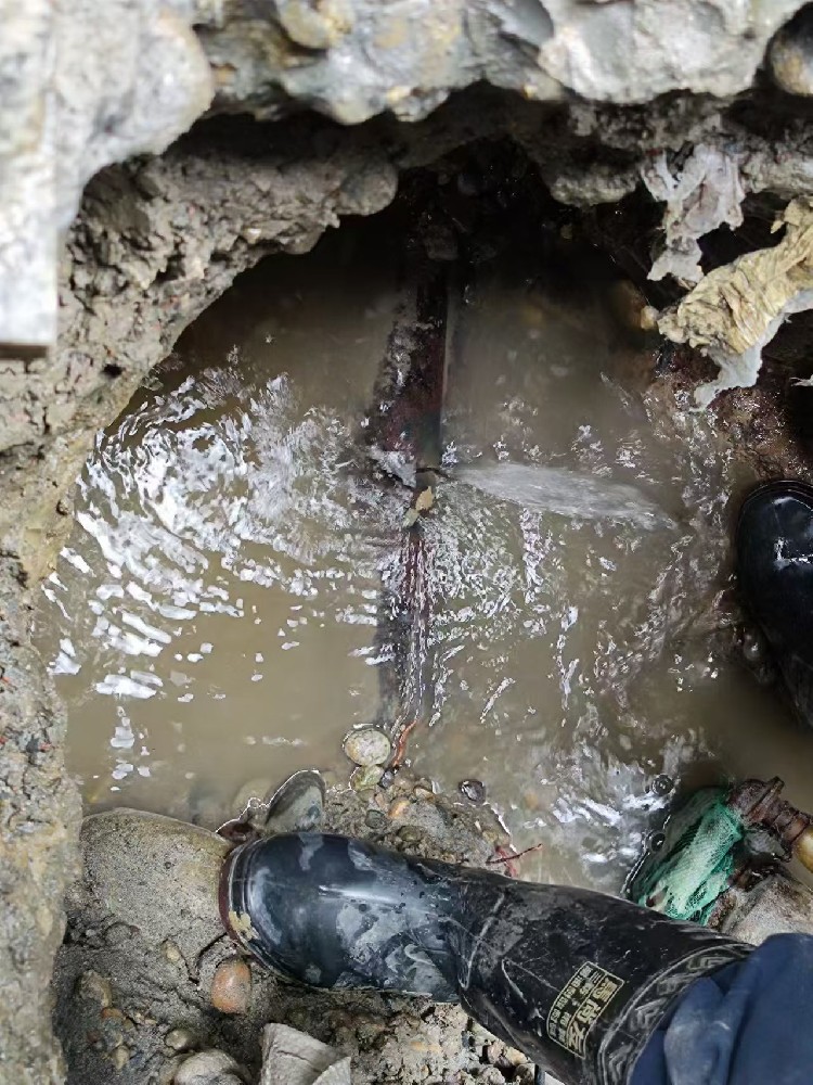 英山县本地服务：小区水管漏水检测维修